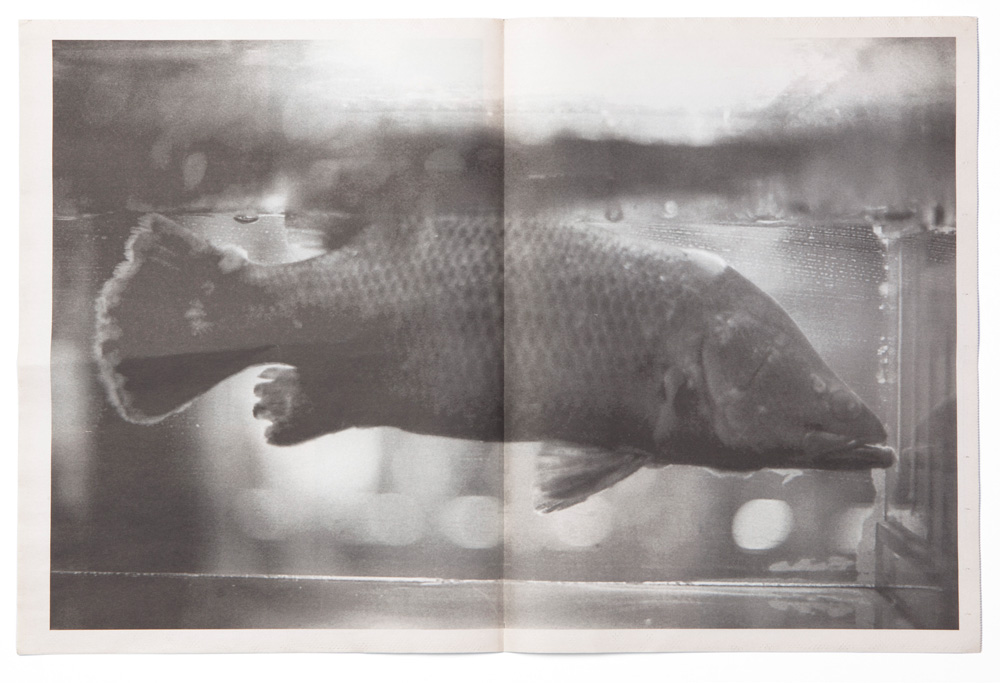 tankboys-alessandro-zuek-simonetti-tlns-4